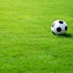 gazon-sportivniy-min